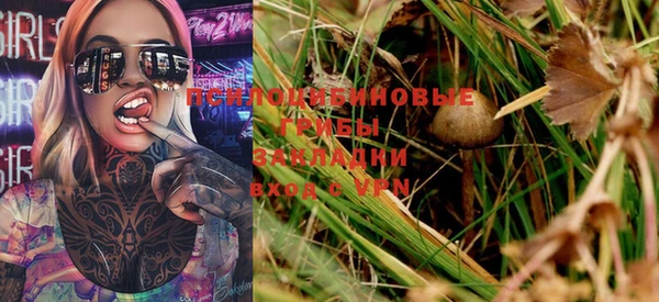 не бодяженный Бородино